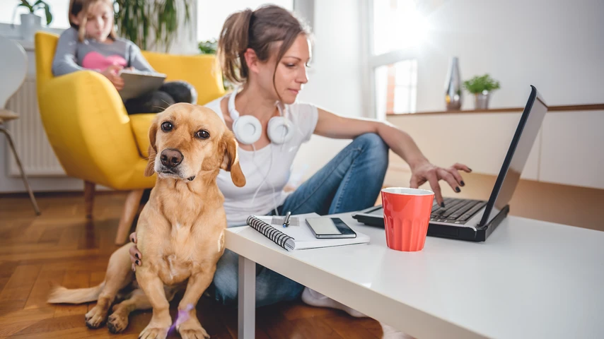 Small yellow dog sitting on the floor by the woman who is petting him at home